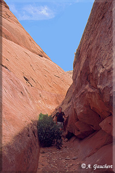 Trail durch den Canyon